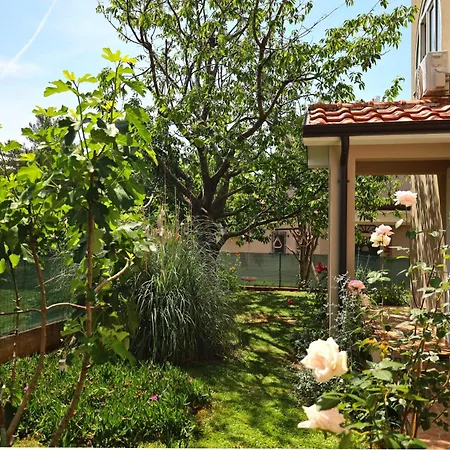 Bozica House With 게스트하우스