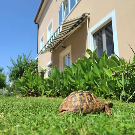 게스트하우스 Bozica House With