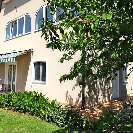 게스트하우스 Bozica House With Murine