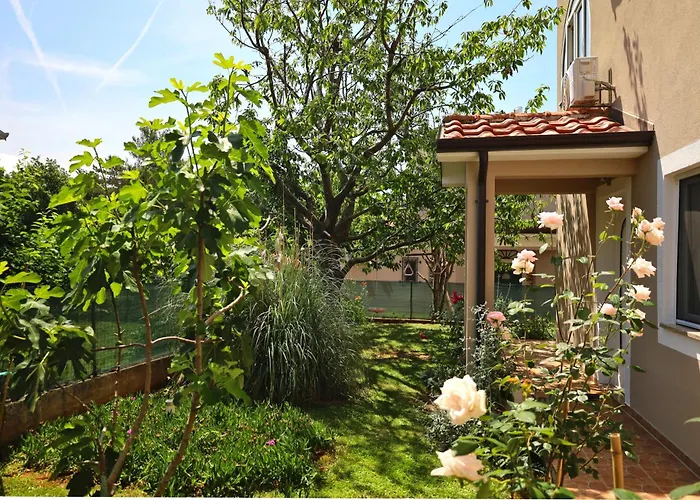 Bozica House With 게스트하우스